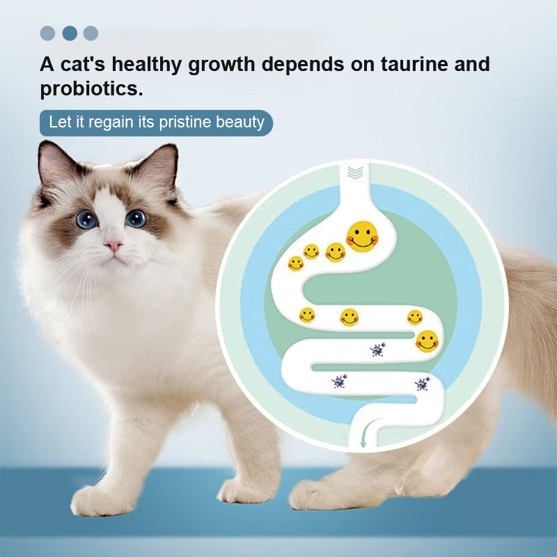 Feline Gut Health Supplement