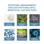 Feline Gut Health Supplement