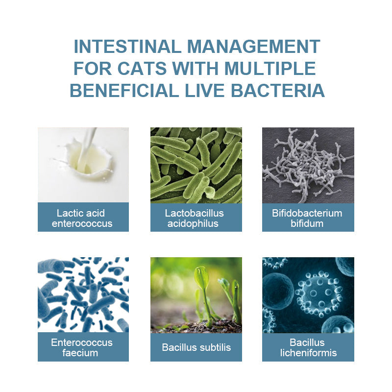 Feline Gut Health Supplement