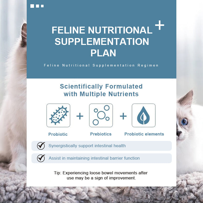 Feline Gut Health Supplement