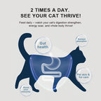 Feline Gut Health Supplement