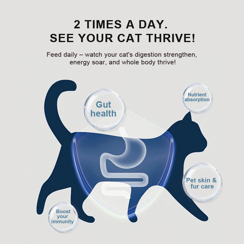 Feline Gut Health Supplement