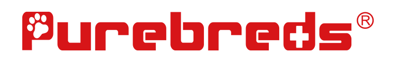 PUREBREDS