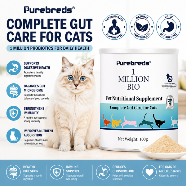 Feline Gut Health Supplement