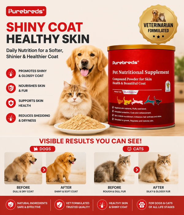 Purebreds skin and coat supplement powder for dogs and cats