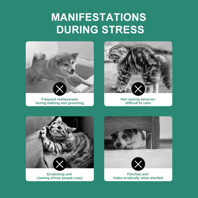 PROLAMORE Anti-Stress & Soothing Agent for Dogs & Cats