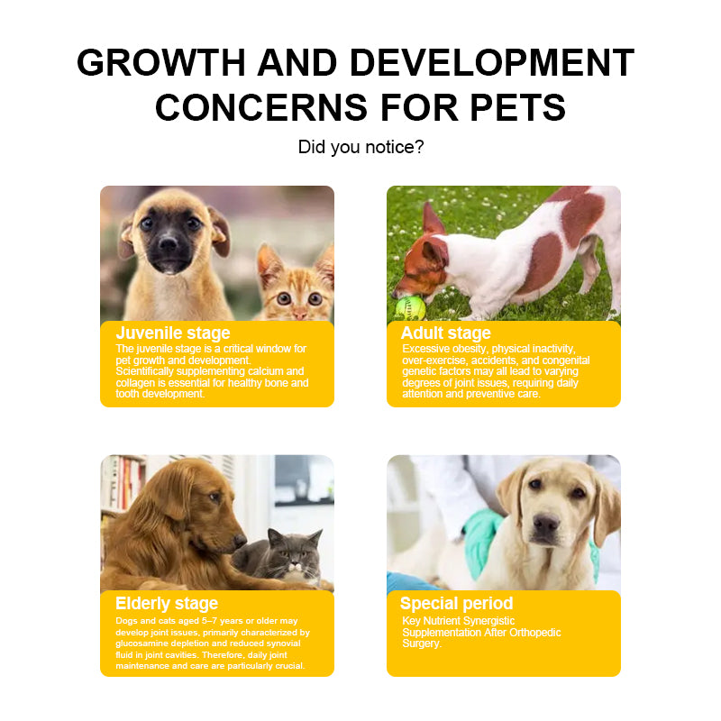 Canine Joint & Mineral Care Pack