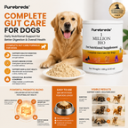 Canine Gut Health Supplement 100g
