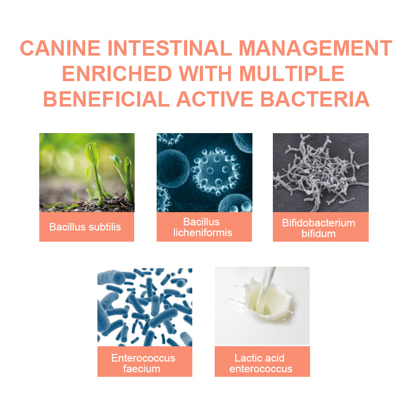 Canine 3‑in‑1 Total Wellness Bundle