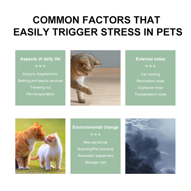 PROLAMORE Cat Anti-Stress & Soothing Agent