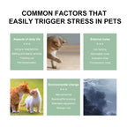 PROLAMORE Cat Anti-Stress & Soothing Agent