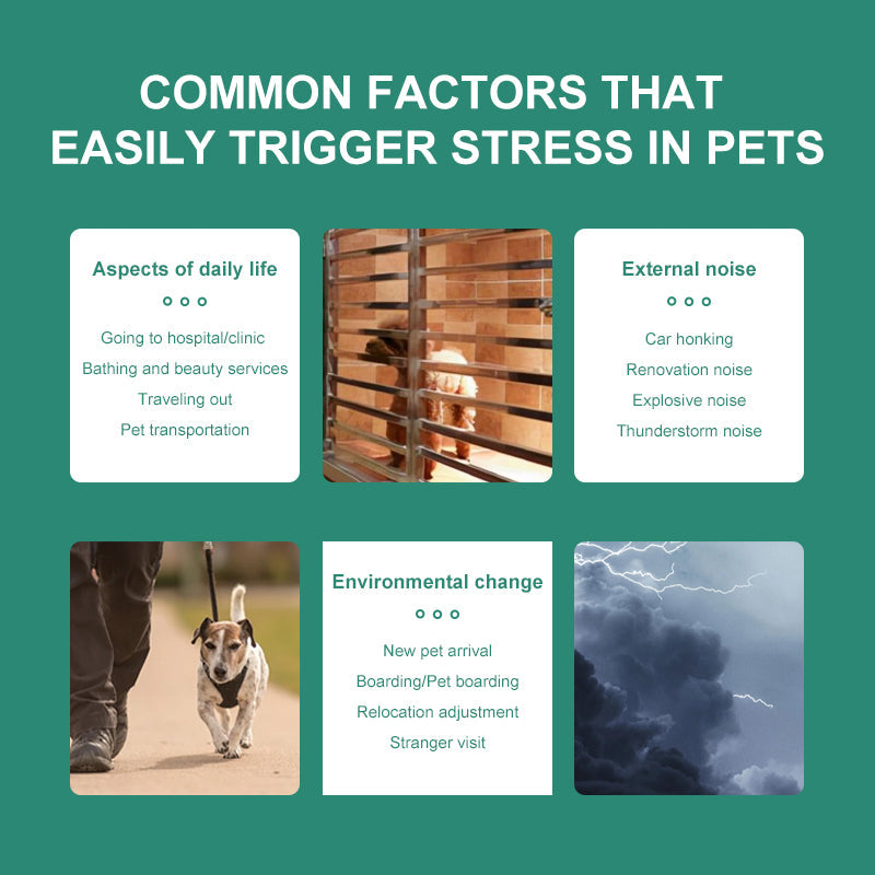 PROLAMORE Anti-Stress & Soothing Agent for Dogs & Cats