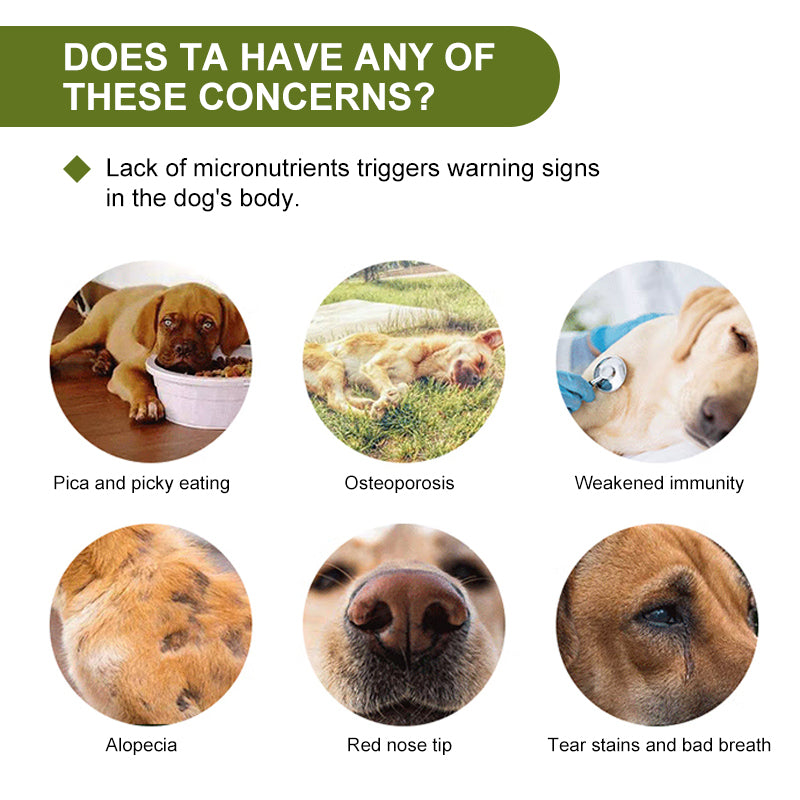 Canine Joint & Mineral Care Pack