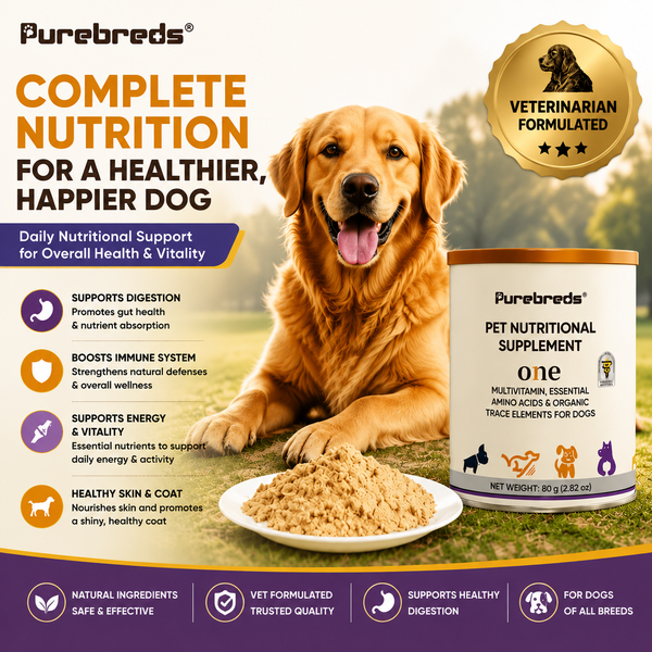 Purebreds dog multivitamin powder with amino acids