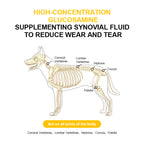 Canine 3‑in‑1 Total Wellness Bundle