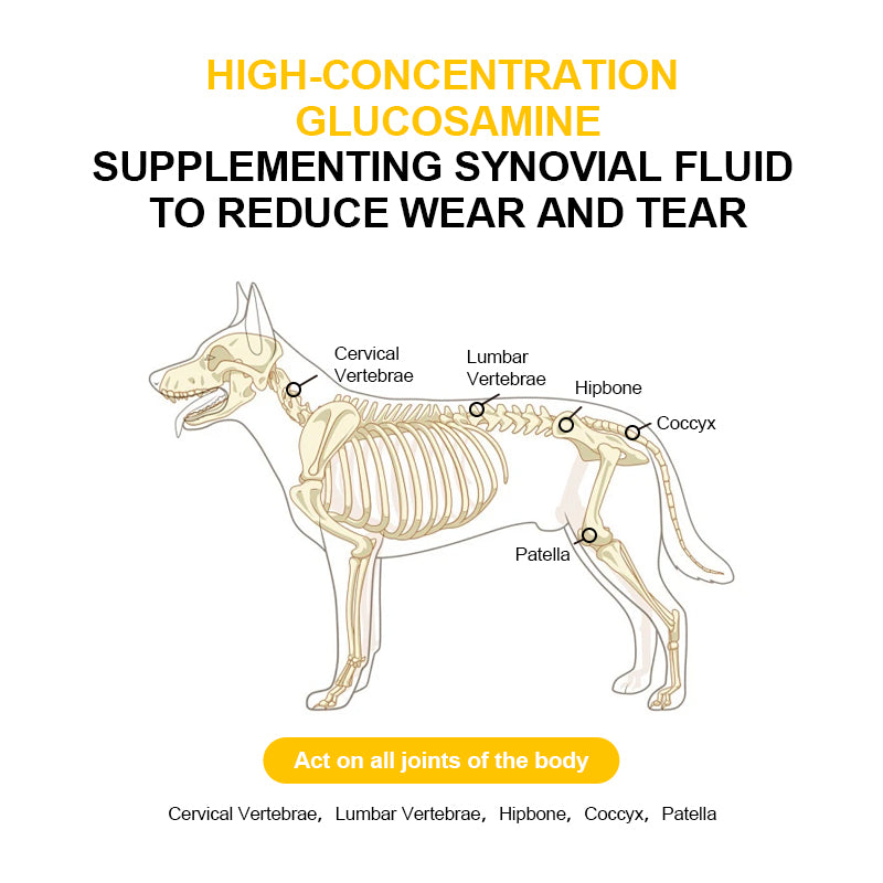 Canine 3‑in‑1 Total Wellness Bundle