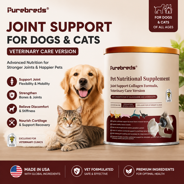 Purebreds calcium, bone and joint supplement powder for pets