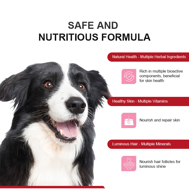 Purebreds Dog Skin, Coat & Daily Wellness Bundle