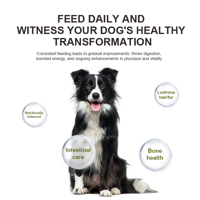 Canine 3‑in‑1 Total Wellness Bundle