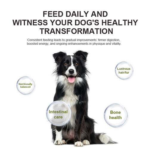 Canine 3‑in‑1 Total Wellness Bundle