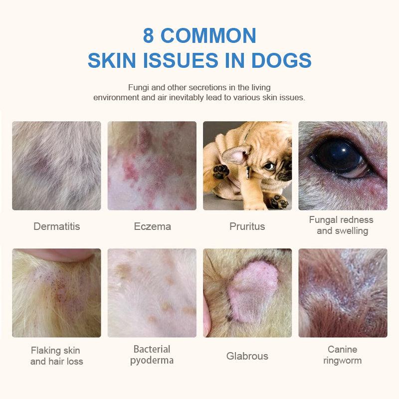 Purebreds Skin Care Prescription Dog Food