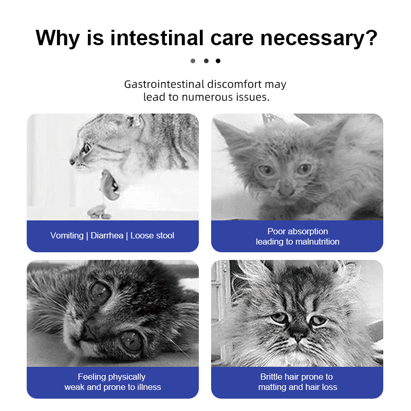 Purebreds Complete Prescription Diet Intestinal Care Prescription Cat Food
