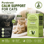PROLAMORE Cat Anti-Stress & Soothing Agent
