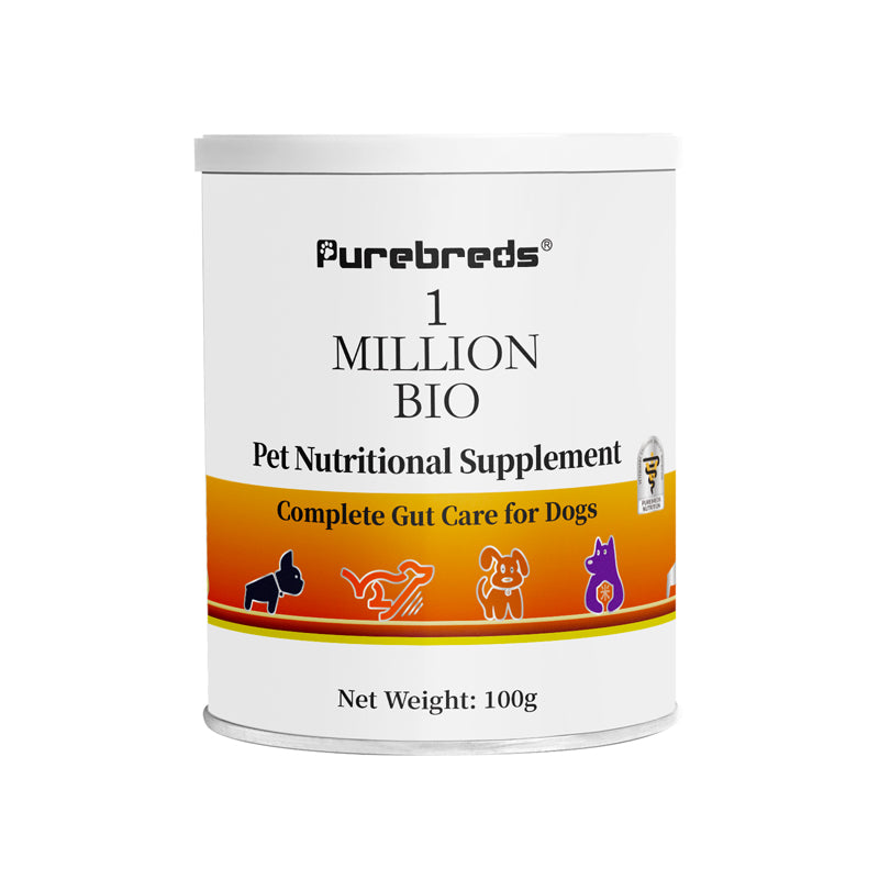 Canine Gut Health Supplement 100g