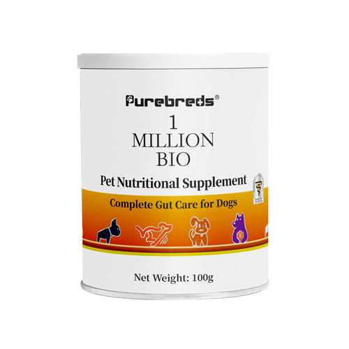Canine Gut Health Supplement 100g